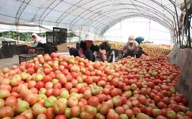 整頓大棚房成了一刀切的代名詞，斷水斷電磚瓦不留，拆成了荒蕪！