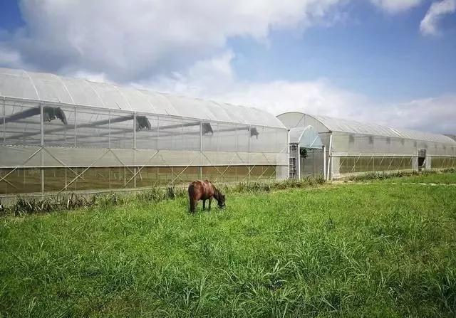 整頓大棚房成了一刀切的代名詞，斷水斷電磚瓦不留，拆成了荒蕪！